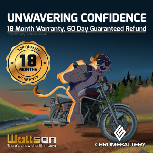 Razor Sweet Pea E100 Toy or Riding Car Battery