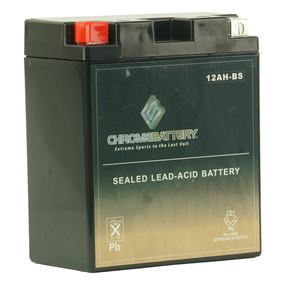 YTX12AH-BS High Performance Power Sport Battery
