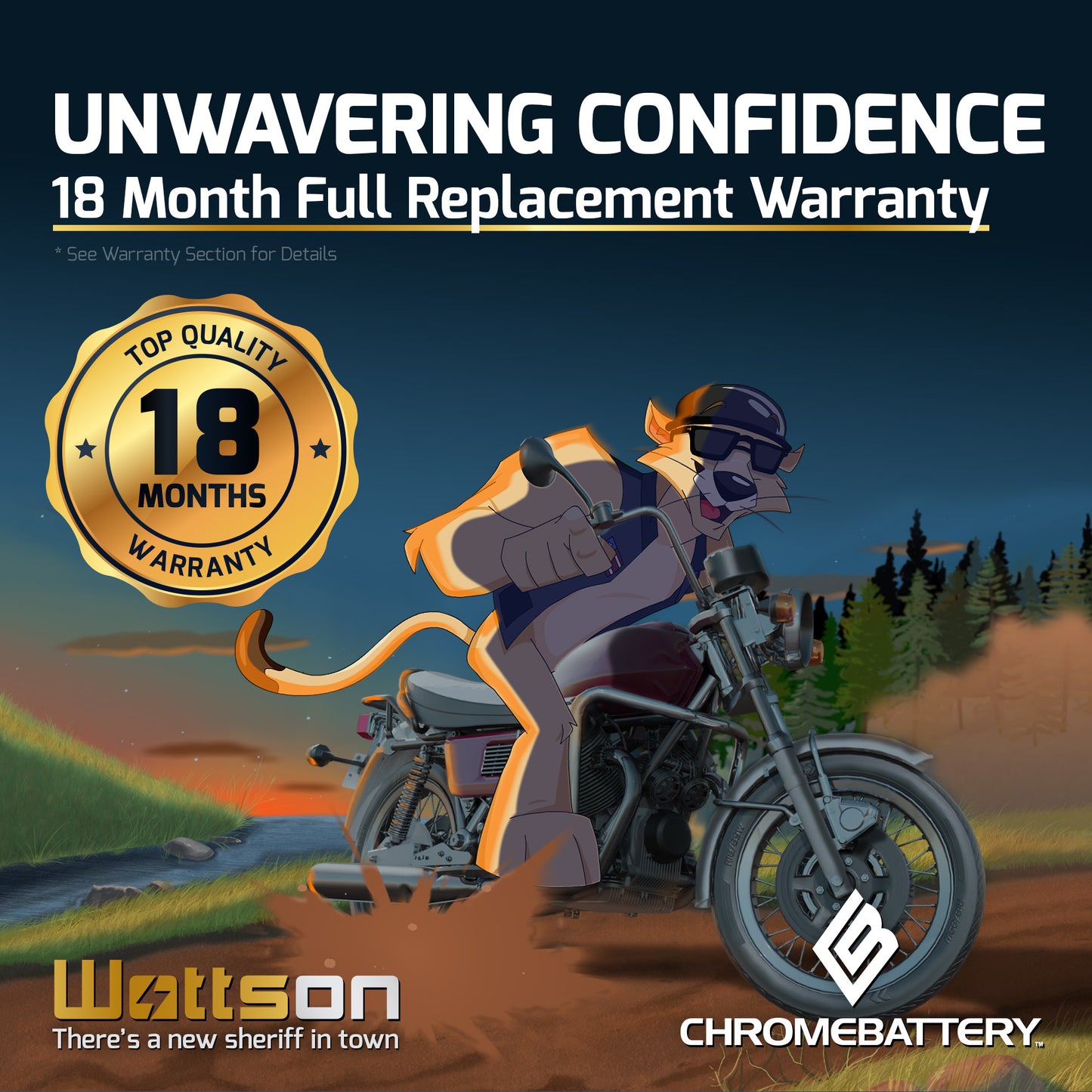 YB14A-A2 Chrome Battery High Performance Battery