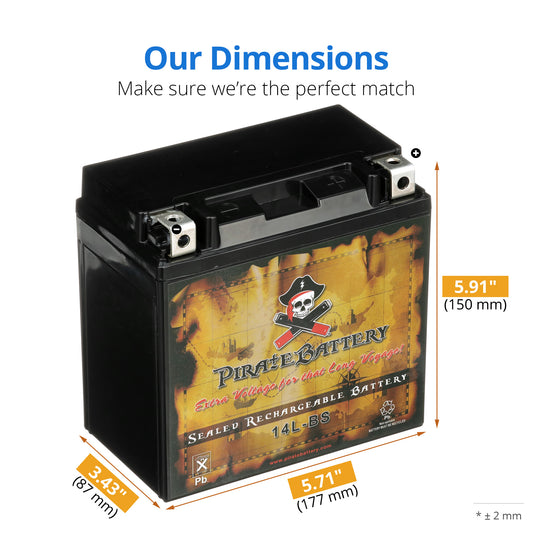 YTX14L-BS High Performance Power Sports Battery
