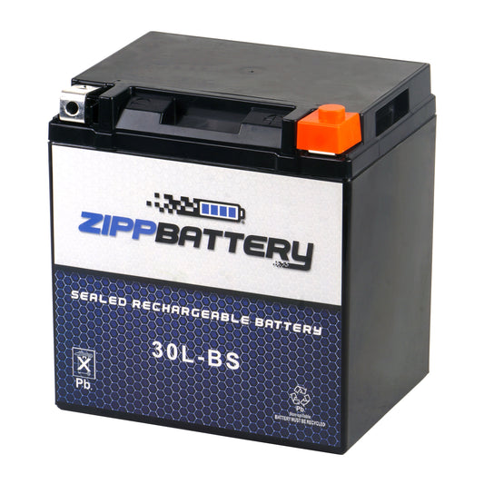 YTX30L-BS High Performance Power Sports Battery