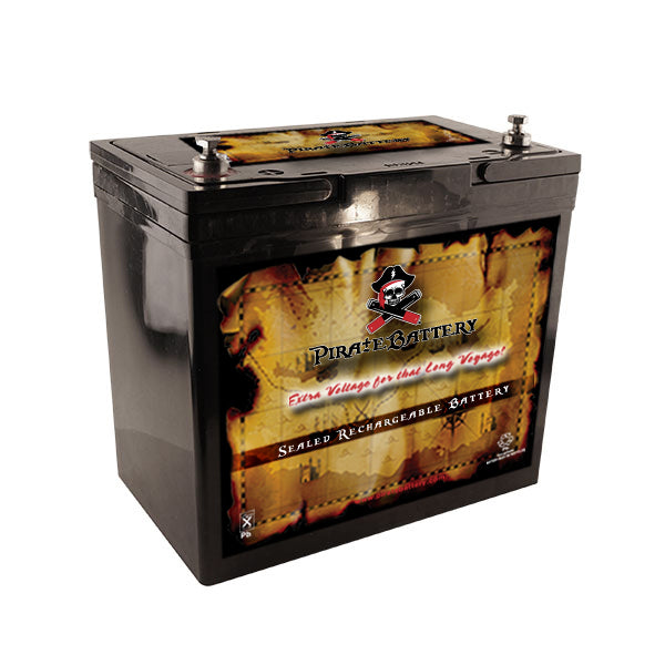 12V 55AH Sealed Lead Acid (SLA) Battery - T6 Terminals