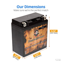 YB16CL-BS High Performance Power Sports Battery