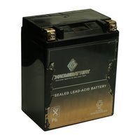 YTX14AHL-BS High Performance Refurbished Power Sports Battery