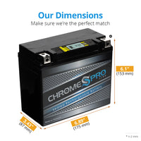 YTX20HL-BS High Performance Power Sports Battery