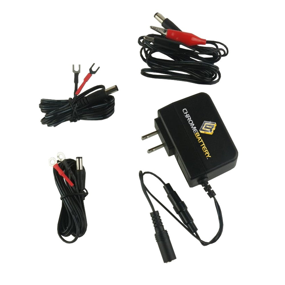 12 Volt 1000mA Battery Charger/Maintainer