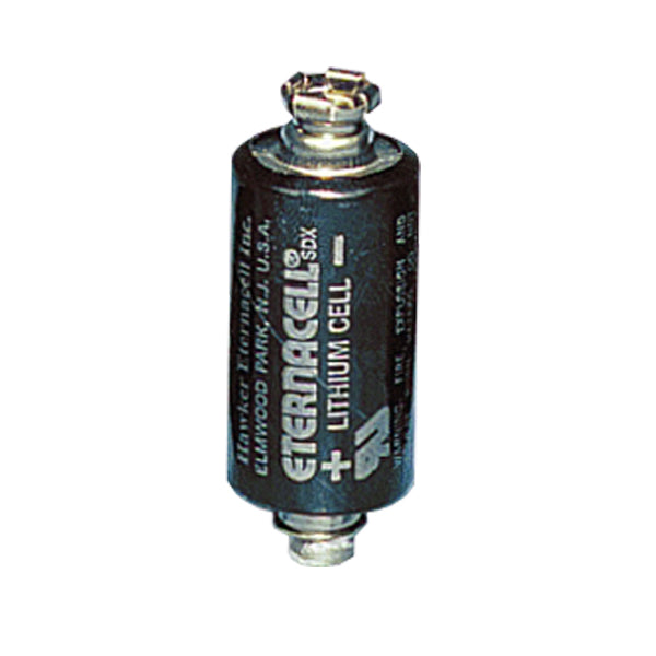 PLC Controller Battery for B9508 (Robotic Batteries)